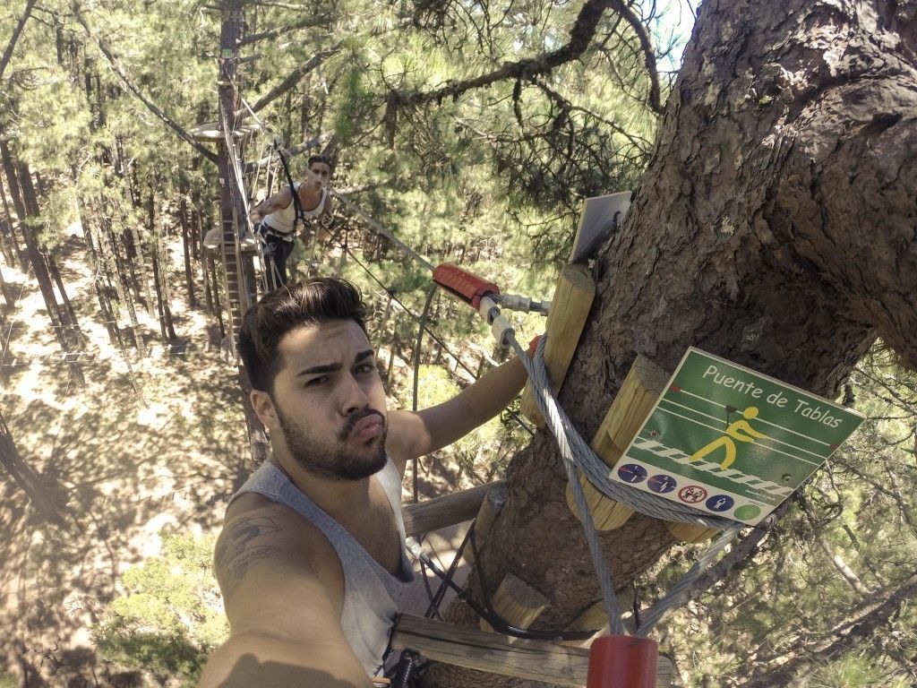 Forestal Park