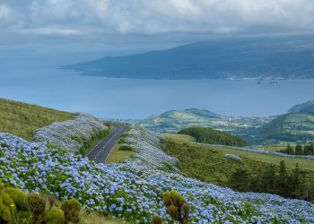 Preparativos para viajar a Azores