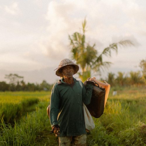 viaje grupo indonesia bali Lombok