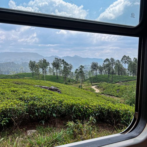 SRI LANKA en grupo Tren Ella paisaje
