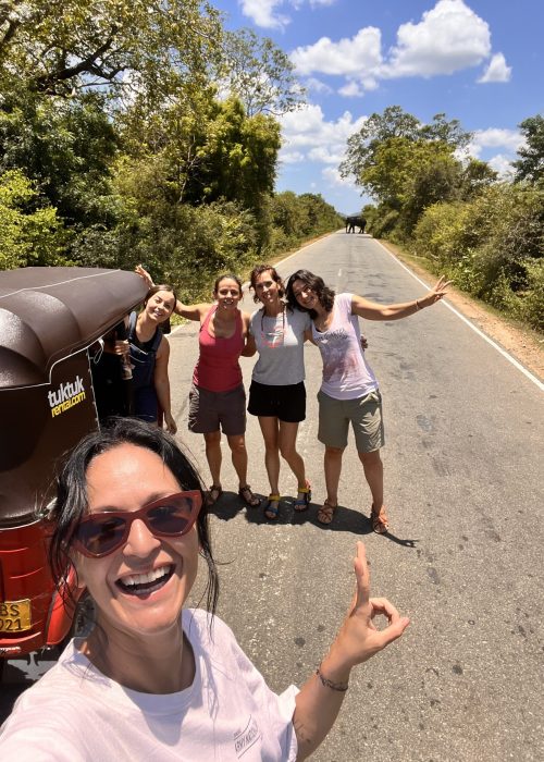 SRI LANKA en grupo elefante carretera