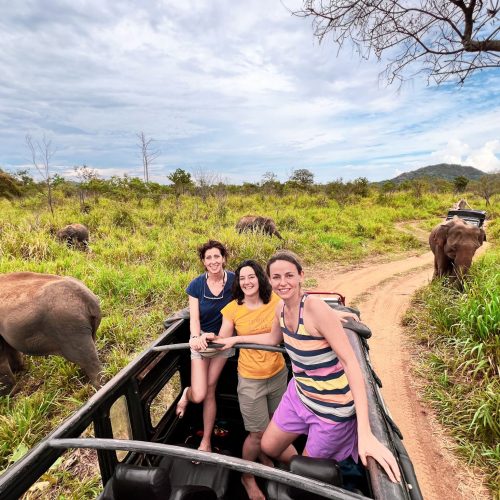 SRI LANKA en grupo safari elefantes