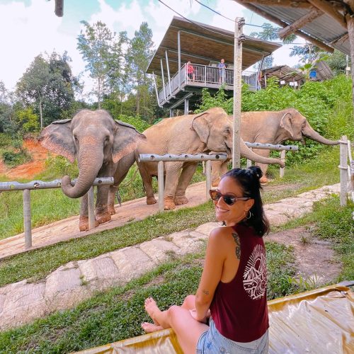 Viaje Grupo Tailandia elefantes